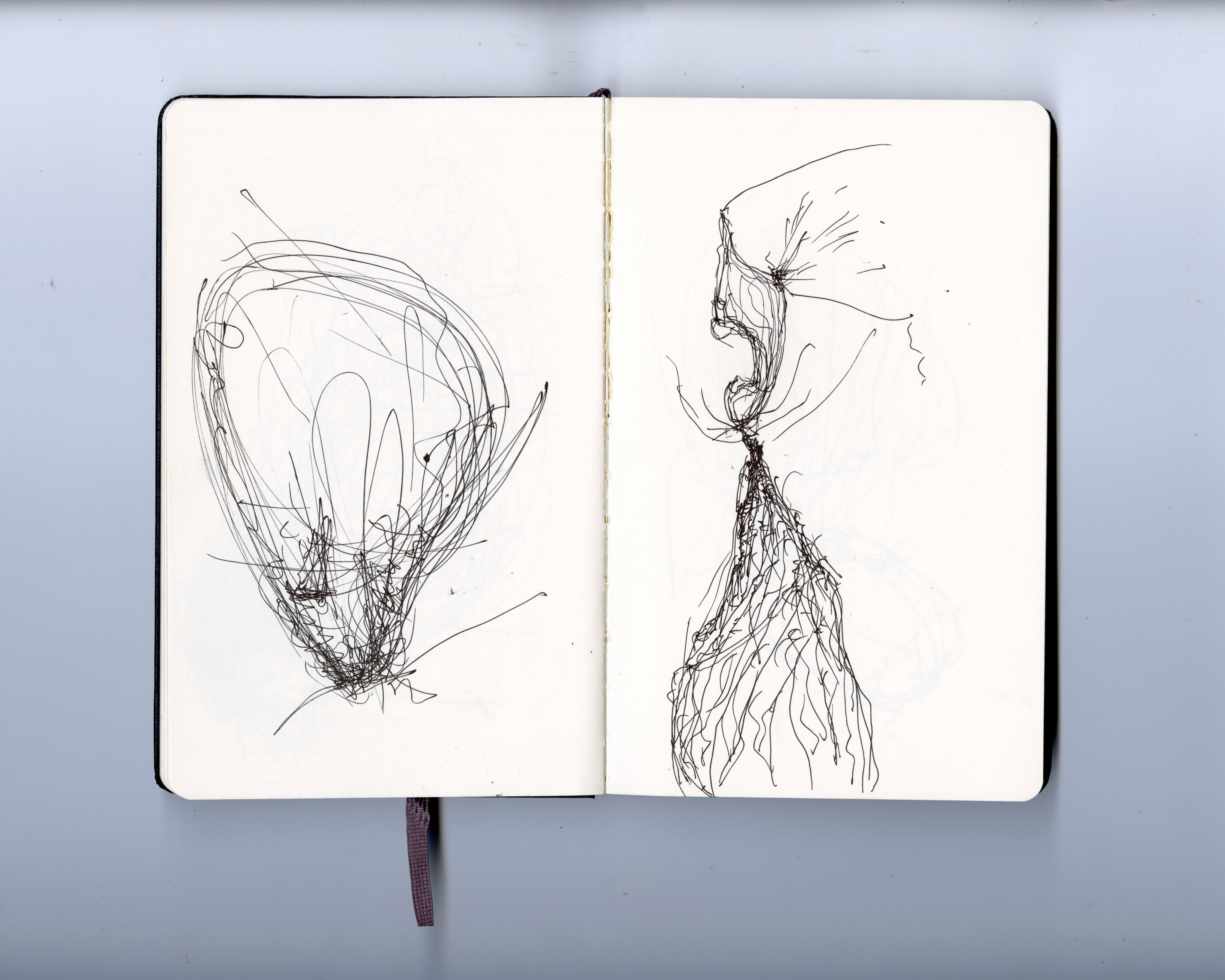 Image 18