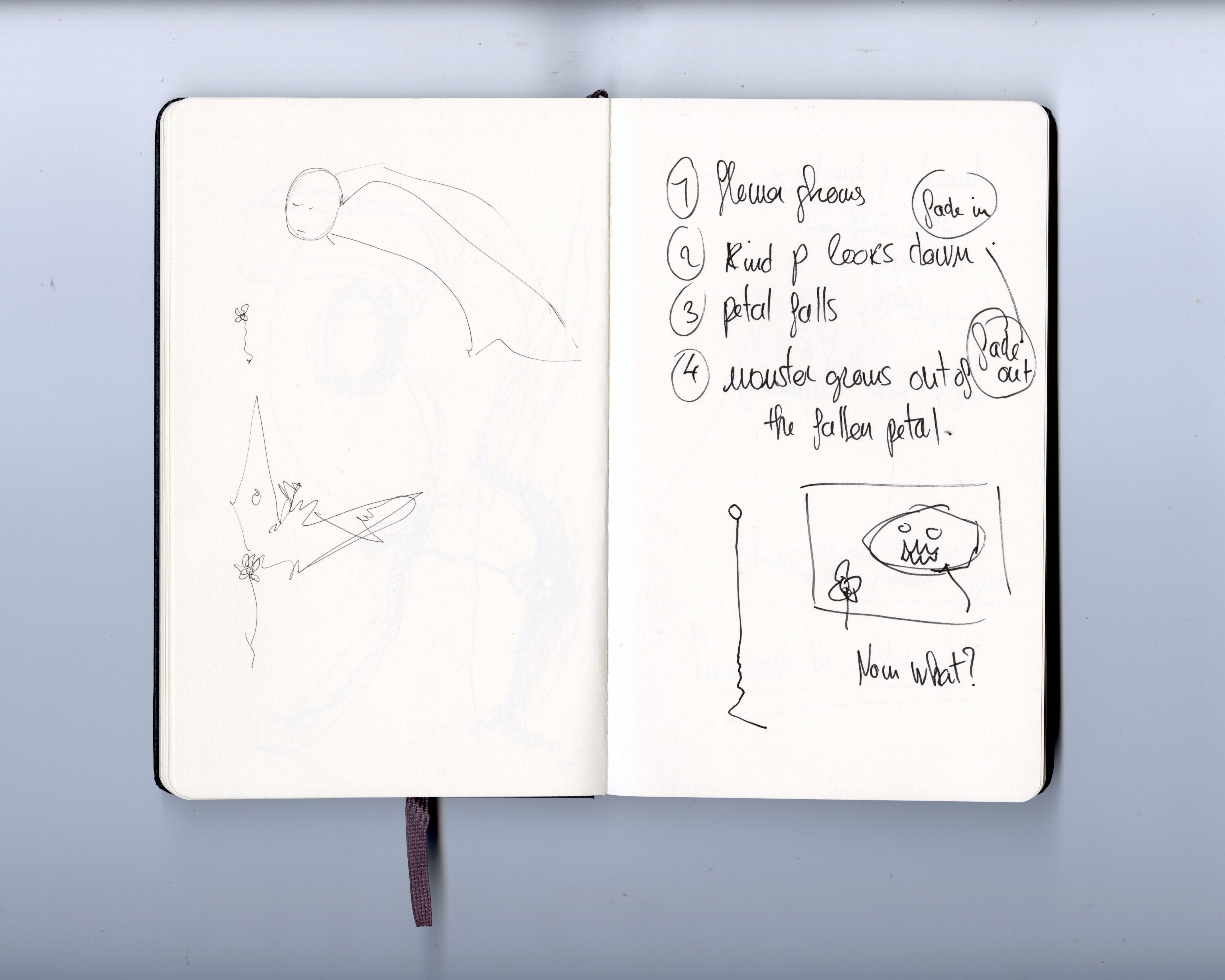 Image 22