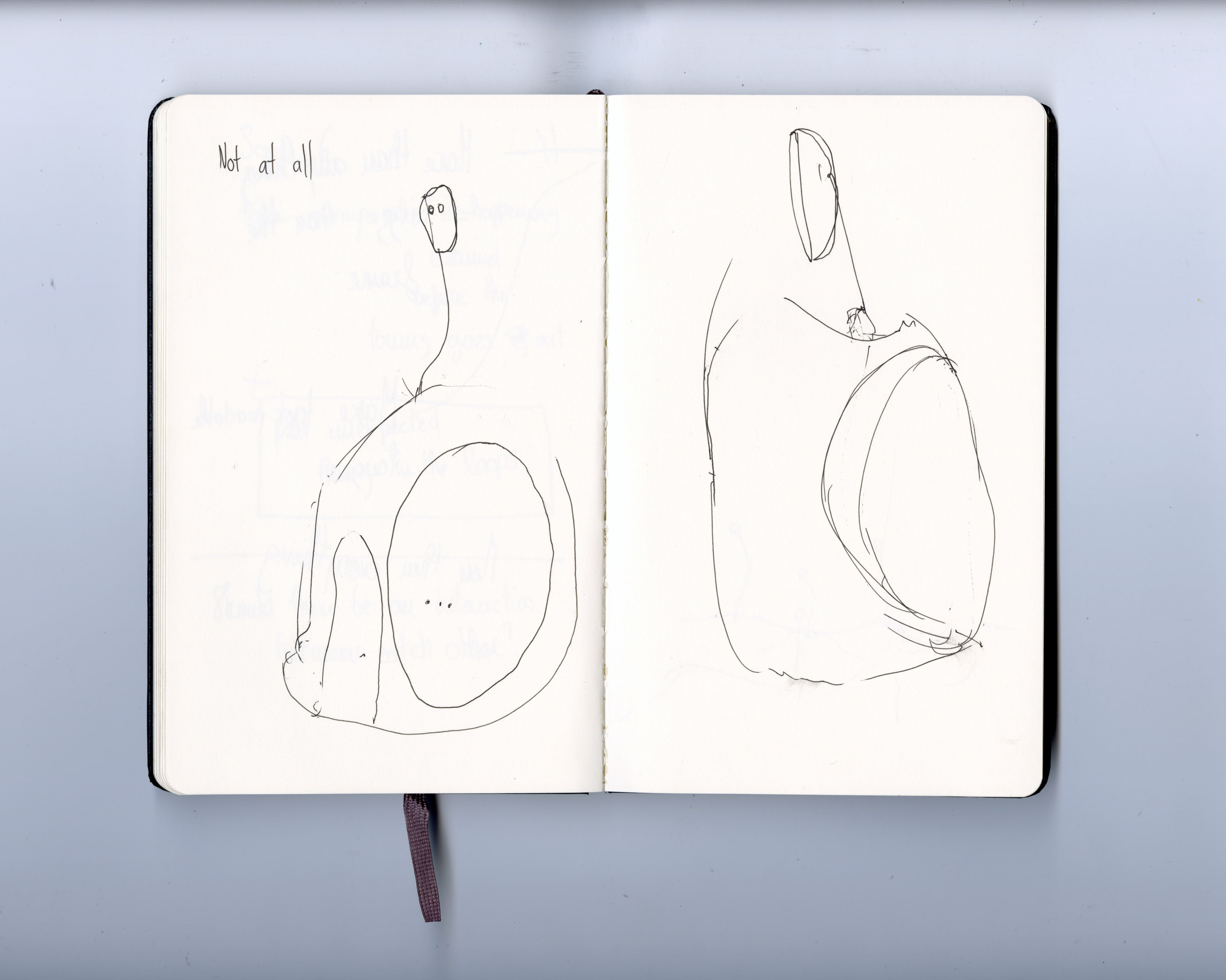 Image 30