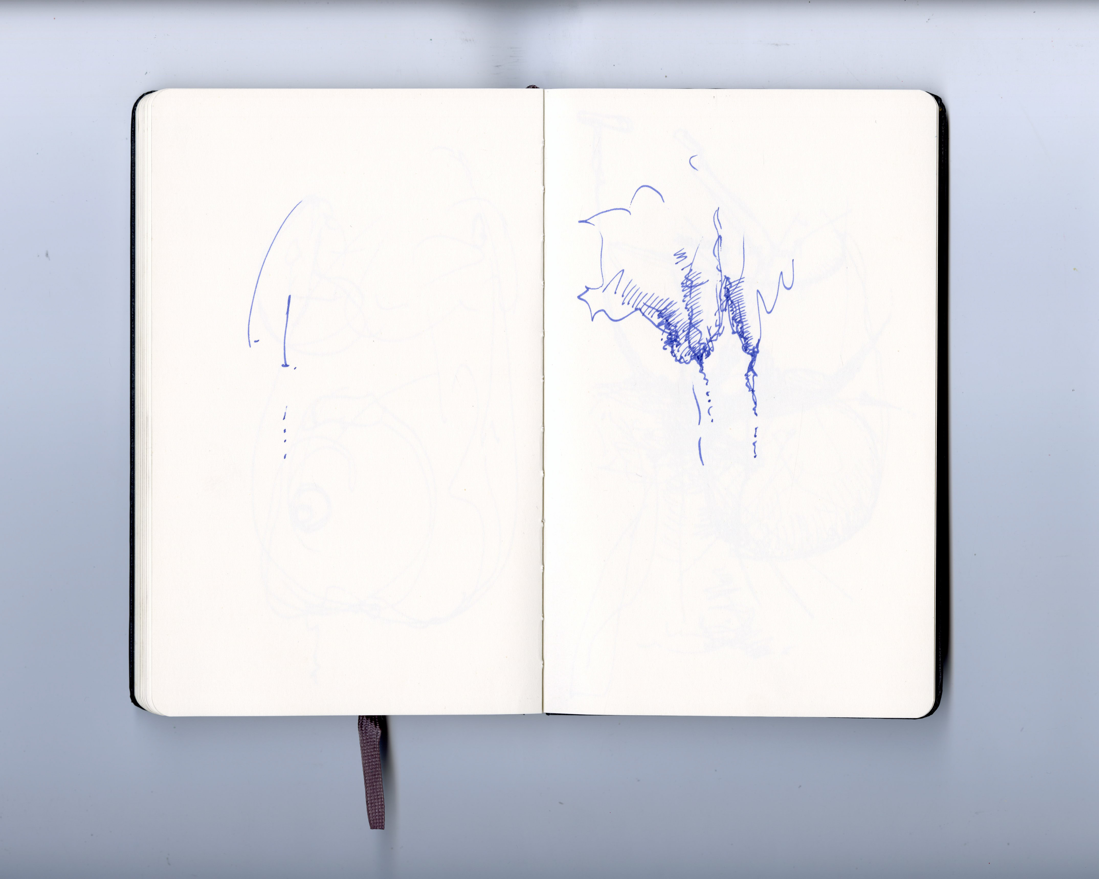 Image 37