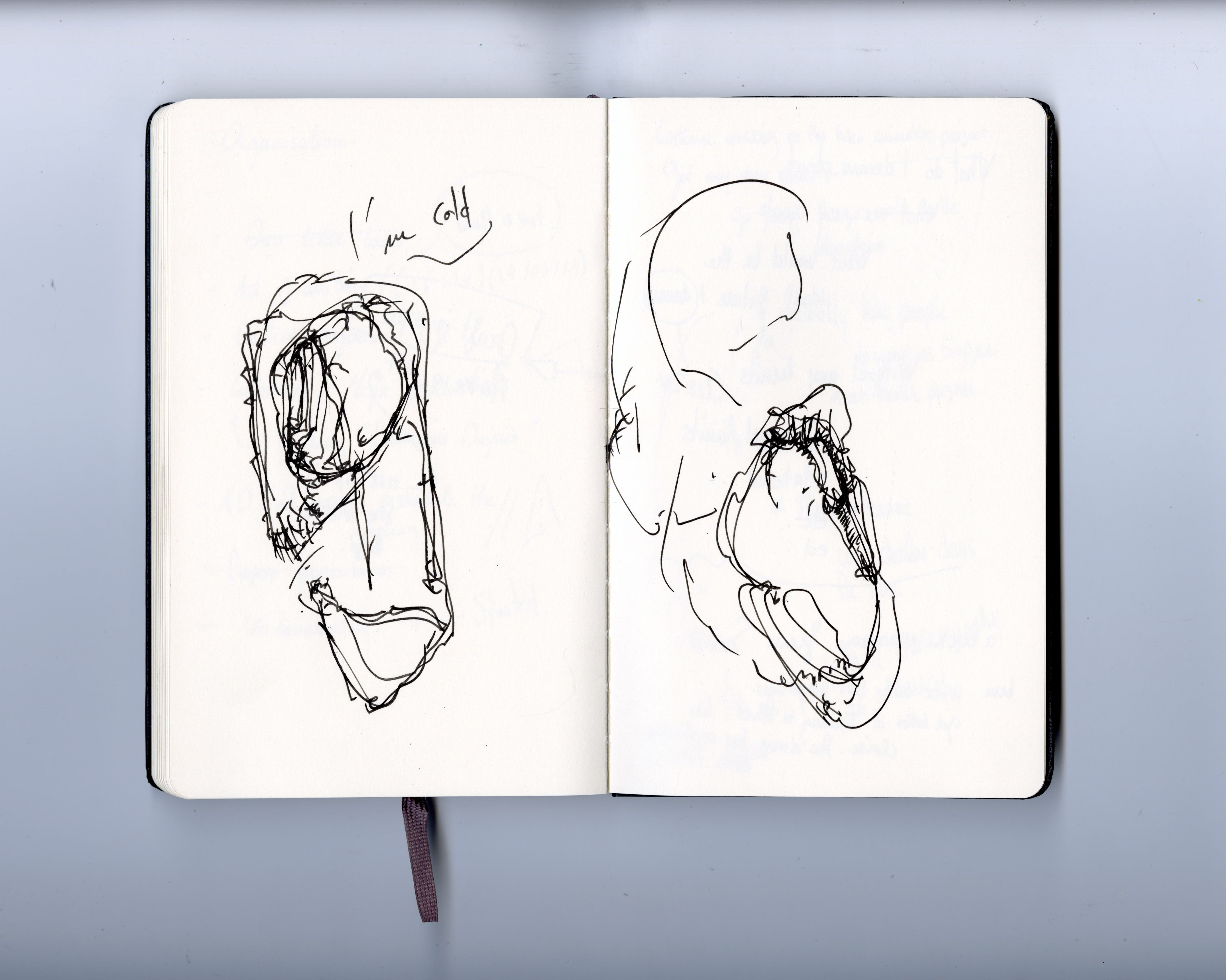 Image 42
