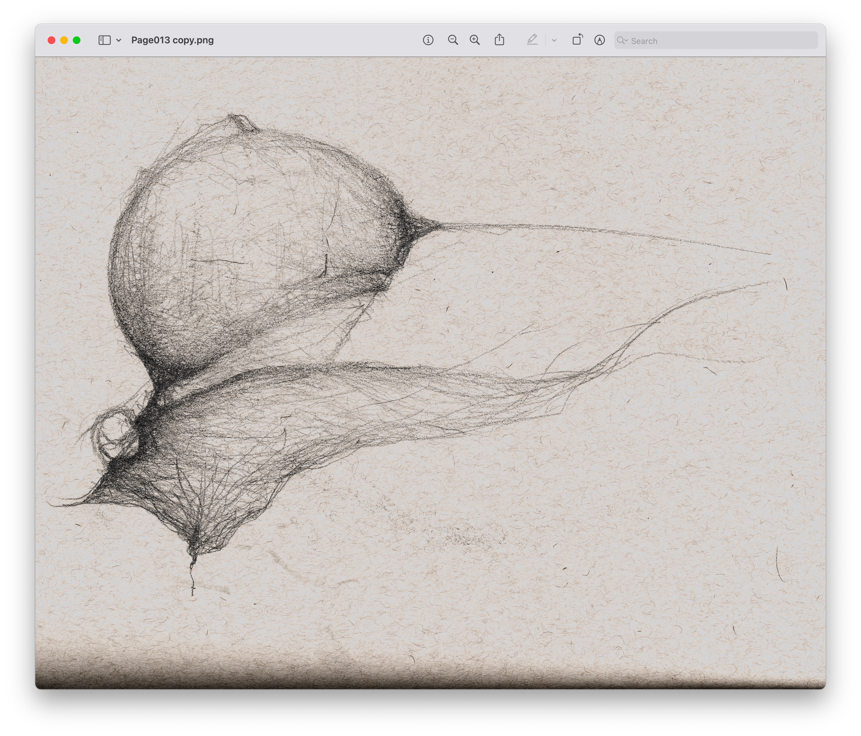 drawings made with simple lines