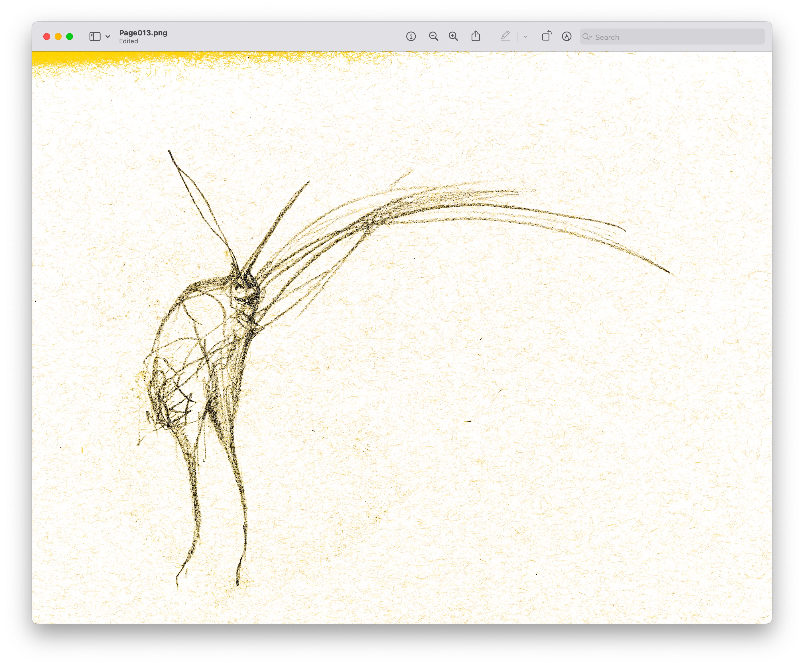 drawings made with simple lines