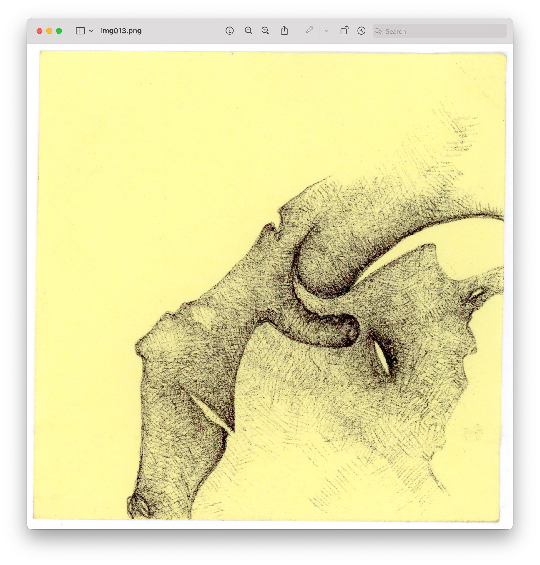 drawings made with simple lines